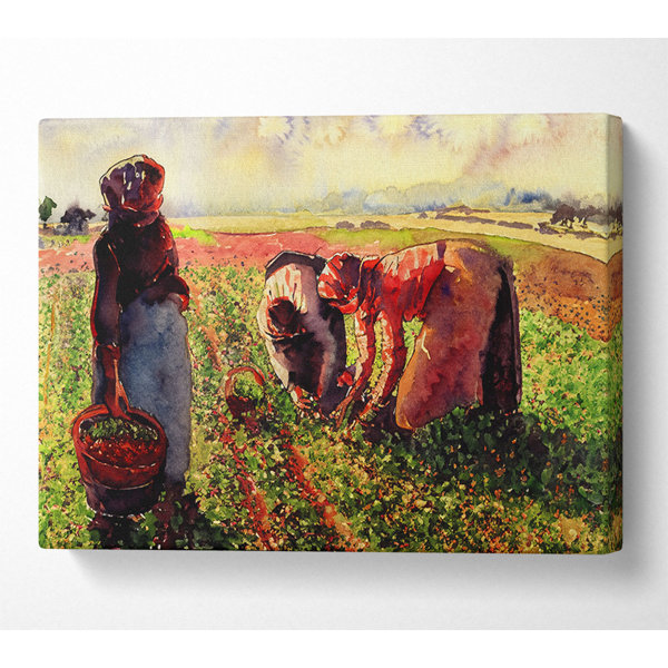 Brambly Cottage Pissarro Erbsen wachsen in Eragny Kunstdrucke auf